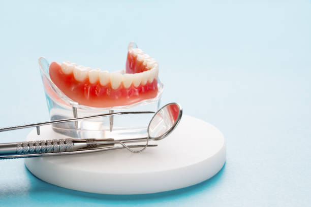 Best Preventive Dentistry  in Helena Valley Southeast, MT